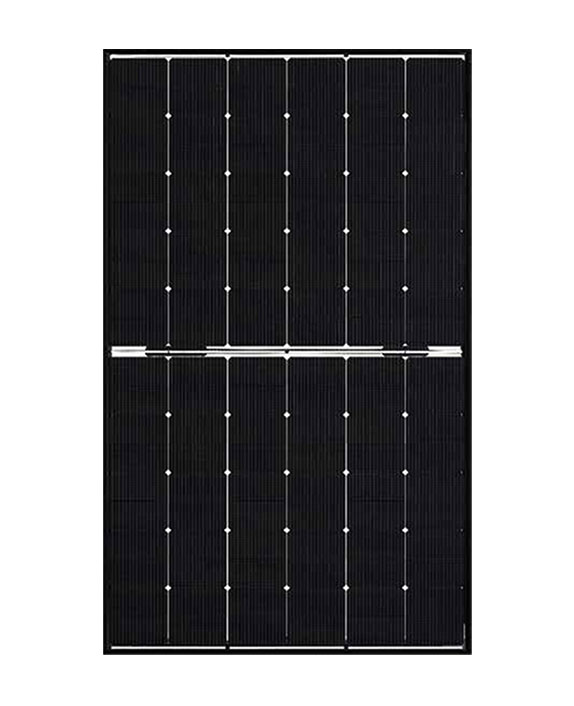 Module solare MEYER BURGER 3